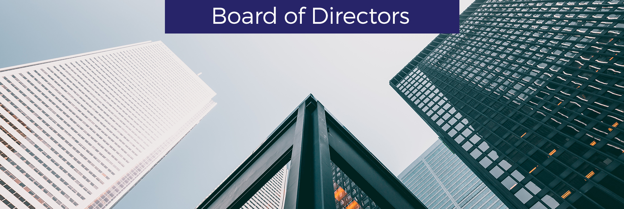 board_of_directors_bn